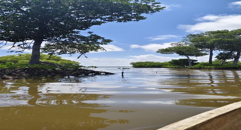 Burch's Resort Naivasha